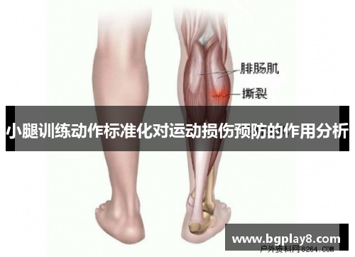 小腿训练动作标准化对运动损伤预防的作用分析